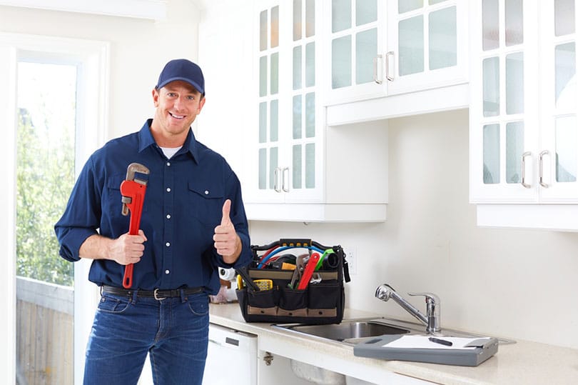 licensed and insured plumbers